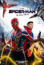 Load image into Gallery viewer, Spiderman No Way Home Movie Poster Transparency
