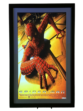 Spiderman from MARVEL on Vieunite Textura Pro Digital Canvas