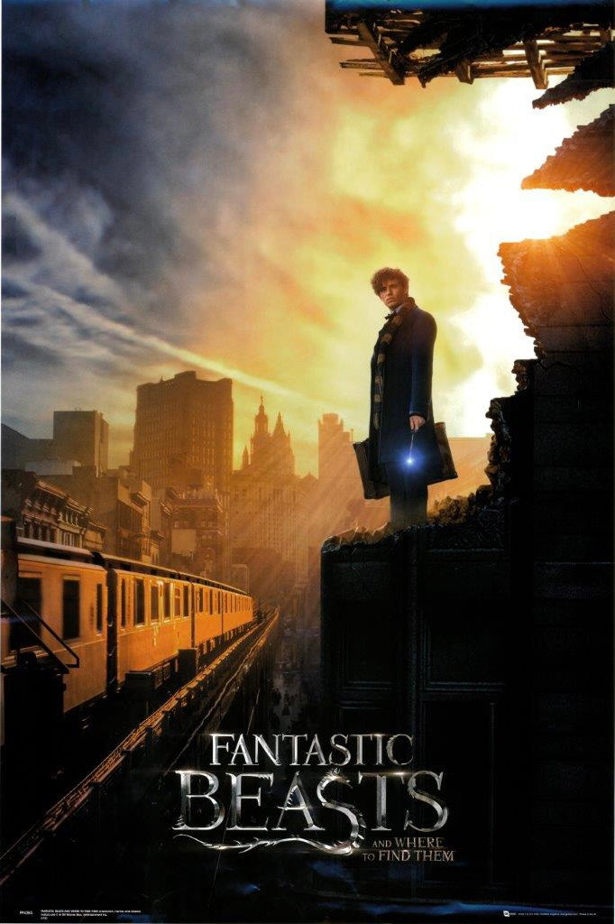 Fantastic Beasts Movie Poster Transparency