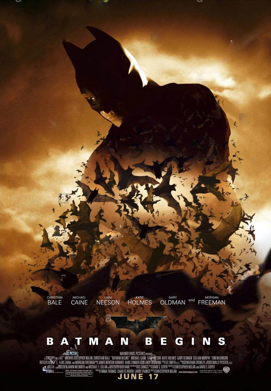 Batman Begins Movie Poster Transparency