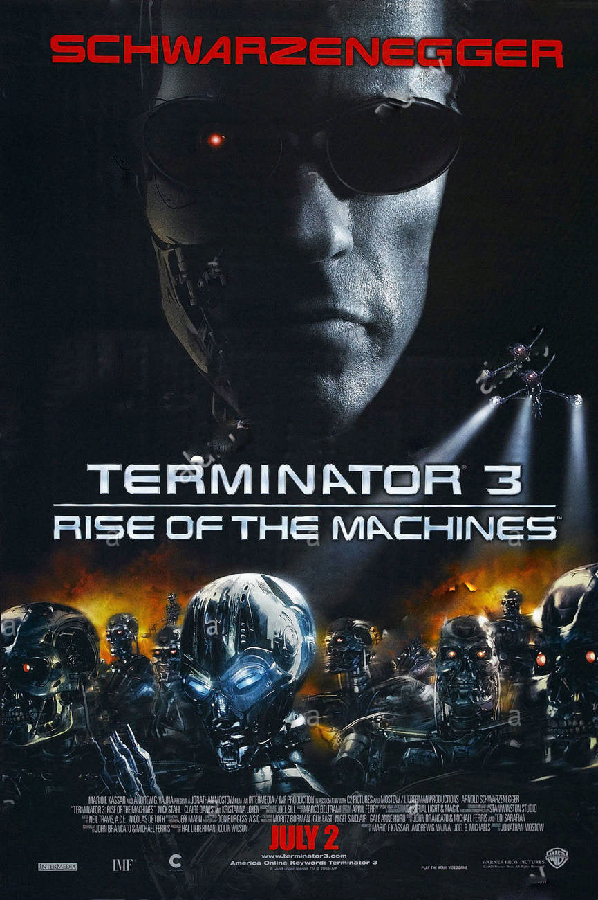 Terminator 3 Movie Poster Transparency